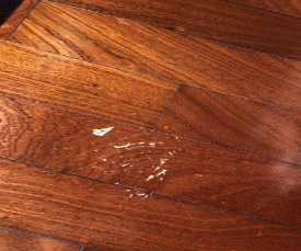 油漆成人抖音APP下载